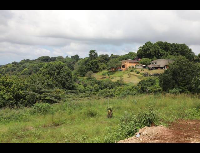 3 BEDROOM HOUSE FOR SALE IN FORREST HILL